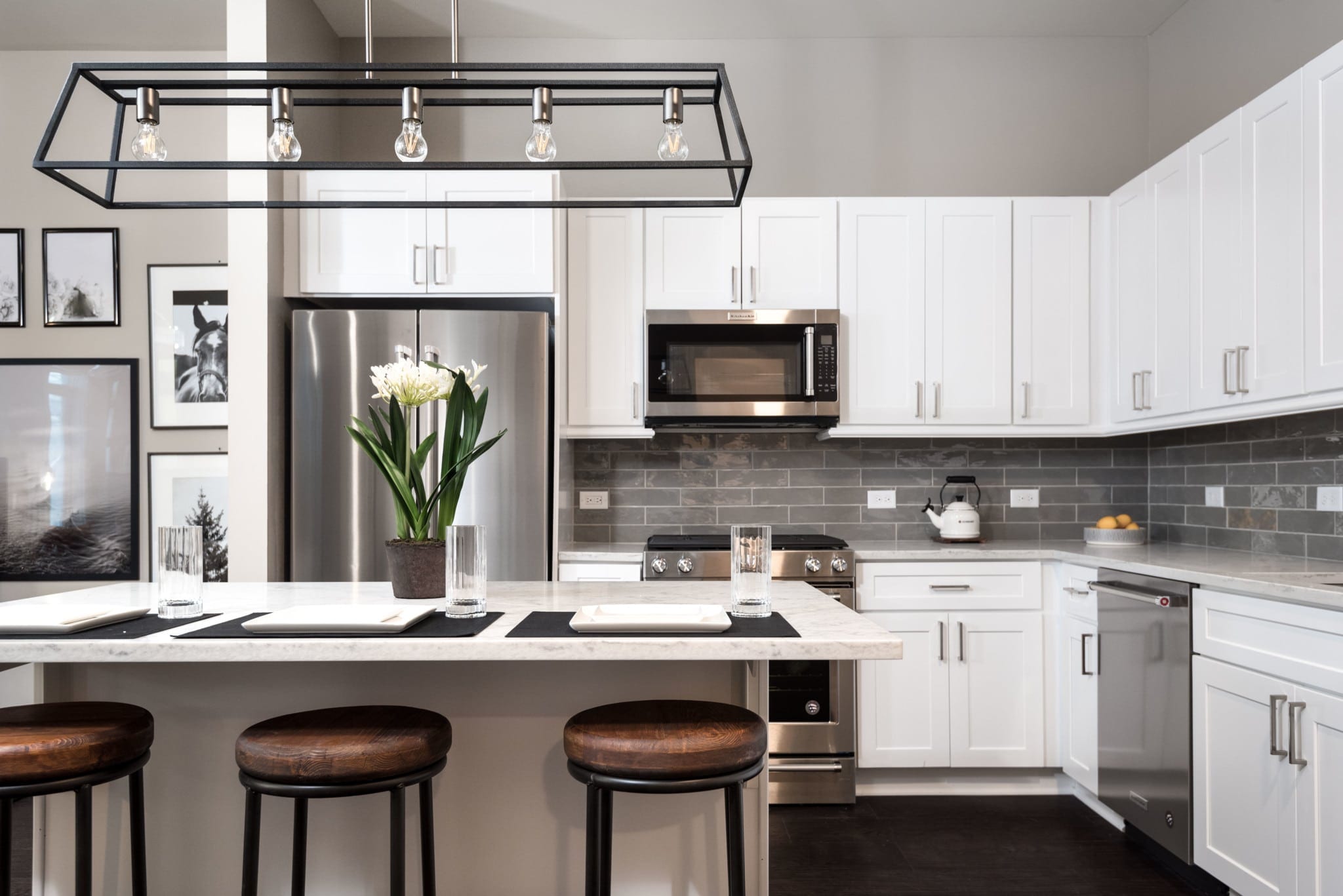 Introducing Twenty Fifty Lincoln Park: Brand-New Luxury Apartments